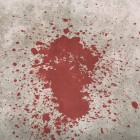 После празднования Дня Победы в центре Пензы мужчина зверски избил даму 
