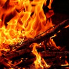 14 бравым спасателям удалось одолеть «огненный вихрь» под Пензой 