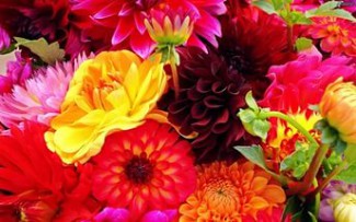 Cоветы астролога: «Какие цветы подарить на 8 марта родным и любимым»?