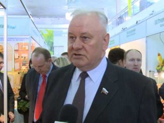 Едалов легализован на посту главы администрации Сосновоборского района