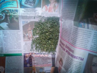 У 50-летнего жителя Пензенской области изъяли марихуану