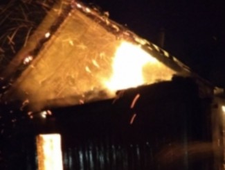 Под Пензой 11 человек тушили страшный пожар