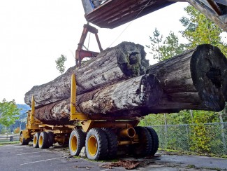 Кузнецкие полицейские вернули пропавший лесовоз