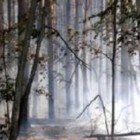 Пензенская область «жжет». За сутки спасатели потушили сразу три природных пожара