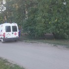 Пензенские спасатели прокомментировали аварию с велосипедистом в Арбеково