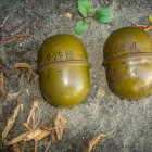 Пензенец нашел две гранаты в мусорном контейнере
