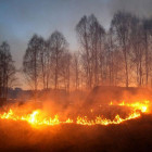 Пензенские спасатели потушили три природных пожара за минувшую неделю 