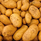 В Пензенскую область завезли зараженный картофель