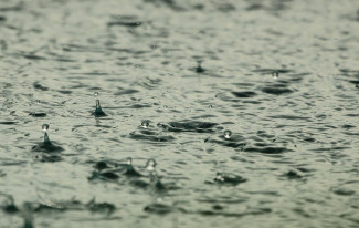 Завтра в Пензенской области будет зябко и дождливо 