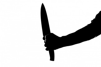 Жительница Кузнецка во время пьяной ссоры набросилась с ножом на своего собутыльника