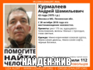Пензенские волонтеры искали пропавшего Андрея Курмалеева почти неделю