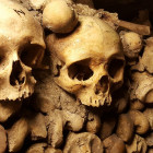 Когда скелеты не только в шкафу: во время замены труб рабочие нашли останки четырех человек
