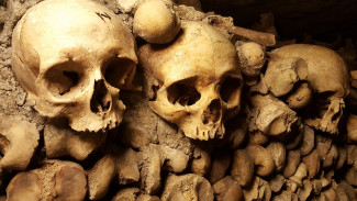 Когда скелеты не только в шкафу: во время замены труб рабочие нашли останки четырех человек