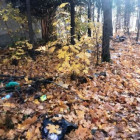 В Пензенской области найдена огромная незаконная свалка