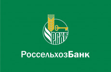 Розничный кредитный портфель Пензенского филиала Россельхозбанка составил более 5,2 млрд рублей