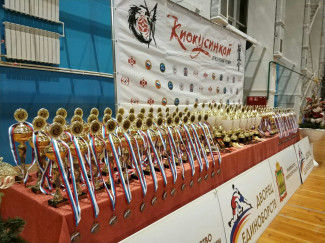 В Пензе завершился масштабный межрегиональный турнир по киокусинкай