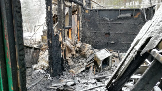 В пензенском Следкоме прокомментировали смертоносный пожар в Чаадаевке