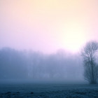 Завтра в Пензенской области ожидаются туман и гололедица