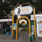 В эти выходные пензенцы смогут бесплатно посетить парки отдыха и зоопарк