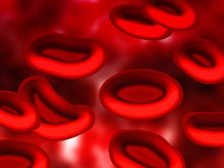 Сотрудники пензенского предприятия «Рубин» сдали 20 литров крови 