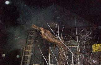 Жуткий пожар в Пензенской области привел к гибели двух человек