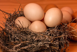 В Пензе повышение цен на яйца могло быть вызвано сговором местных производителей