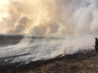 В Камешкирском районе при пожаре в поле пострадали мать и дочь