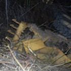 В Пензенской области трактор упал в овраг глубиной 30 метров