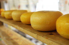В Пензенской области уничтожили более 100 килограммов сыра