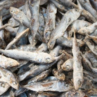 В Пензе полицейские задержали любителя соленой рыбы