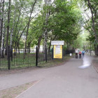 Реновация зеленой зоны: в Пензе благоустроят Ульяновский парк