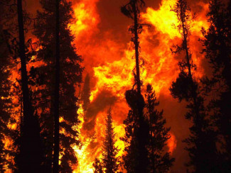 В нескольких районах Пензенской области объявлена высокая пожарная опасность 