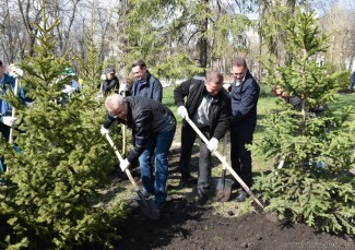 Стараниями Белозерцева и Кувайцева в Пензе появится свыше сотни деревьев 