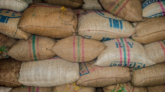 В Пензенской области мужчина и женщина украли со склада более 30 мешков зерна