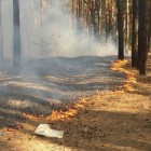 В Пензенской области горит лес