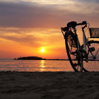 Безработная пензячка угнала велосипед с одного из городских пляжей