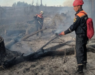 Почему лесные пожары в Пензе тушат по три дня?