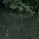 Страшная находка: в реке под Пензой обнаружен труп мужчины