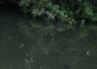 Страшная находка: в реке под Пензой обнаружен труп мужчины