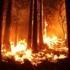 В Пензе и четырех районах области сохраняется чрезвычайная пожарная опасность
