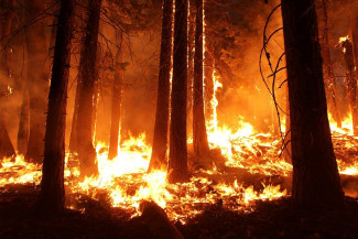 В Пензе и четырех районах области сохраняется чрезвычайная пожарная опасность