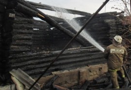 В Пензенской области в собственном доме сгорел пожилой хозяин