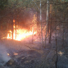 Крупный пожар в Пензенской области: огонь охватил 2,5 гектара леса