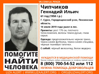 В лесах Пензенской области исчез 61-летний Геннадий Чипчиков