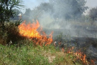 Под Пензой в СНТ «Лесная поляна» произошел серьезный пожар 