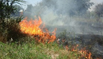 Под Пензой в СНТ «Лесная поляна» произошел серьезный пожар 