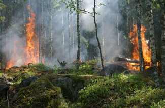 В трех районах Пензенской области сохраняется 4 класс пожарной опасности