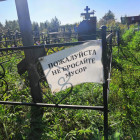 Что происходит с Чемодановским кладбищем, и кто за это ответит