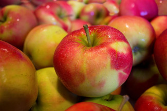 В Пензенской области уничтожили почти четверть тонны яблок