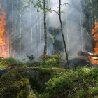 В двух районах Пензенской области по-прежнему сохраняется 4 класс пожарной опасности